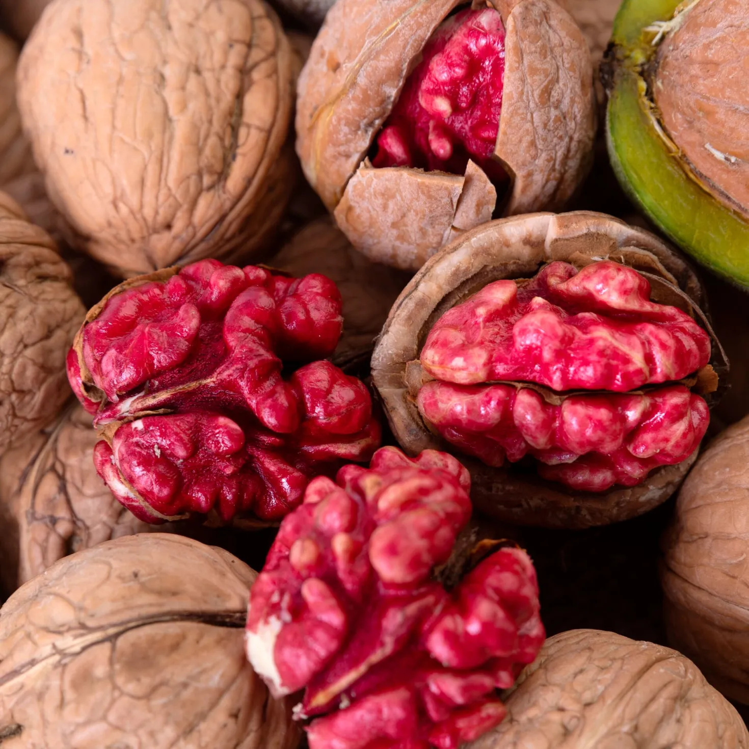 Obstgehölz Walnuss 'Rote Donaunuss'