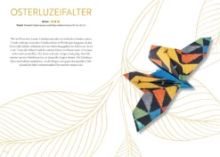 Origami: Bee, Bug und Butterfly