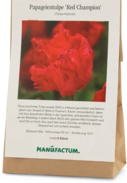 Papageientulpe 'Red Champion'