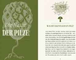 Pilze