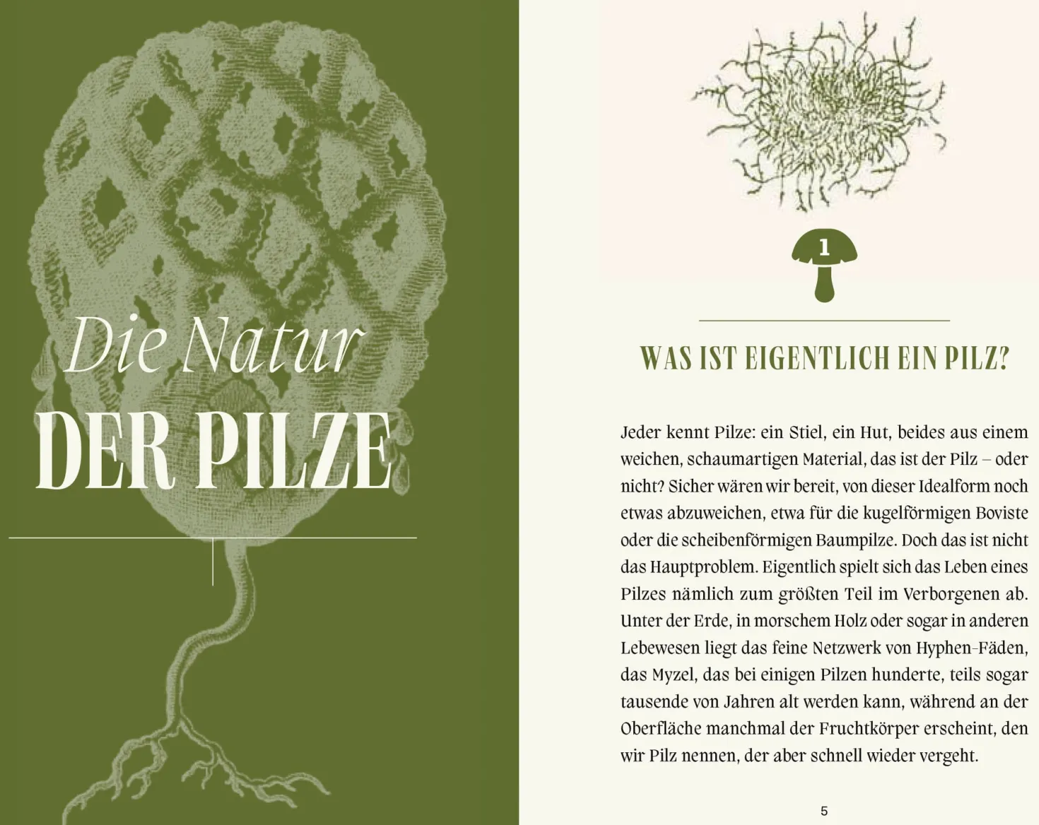 Pilze