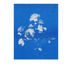 Postkarten-Set Riso