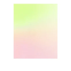 Postkarten-Set Riso