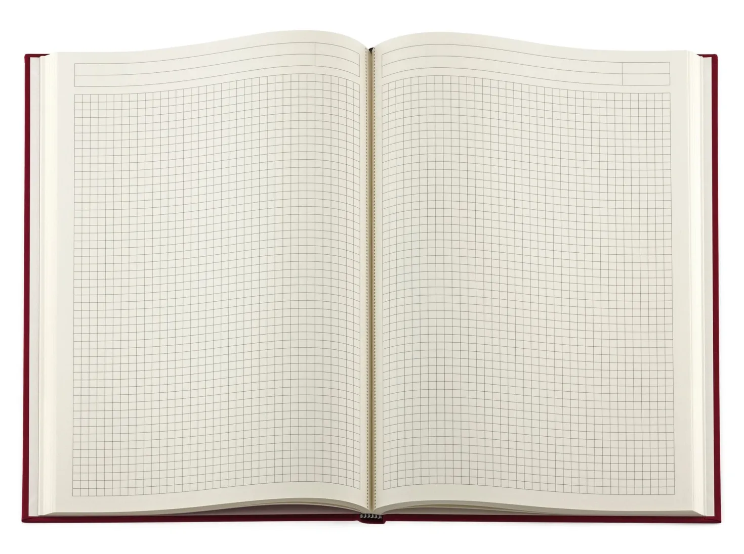 Protokollbuch Leinen
