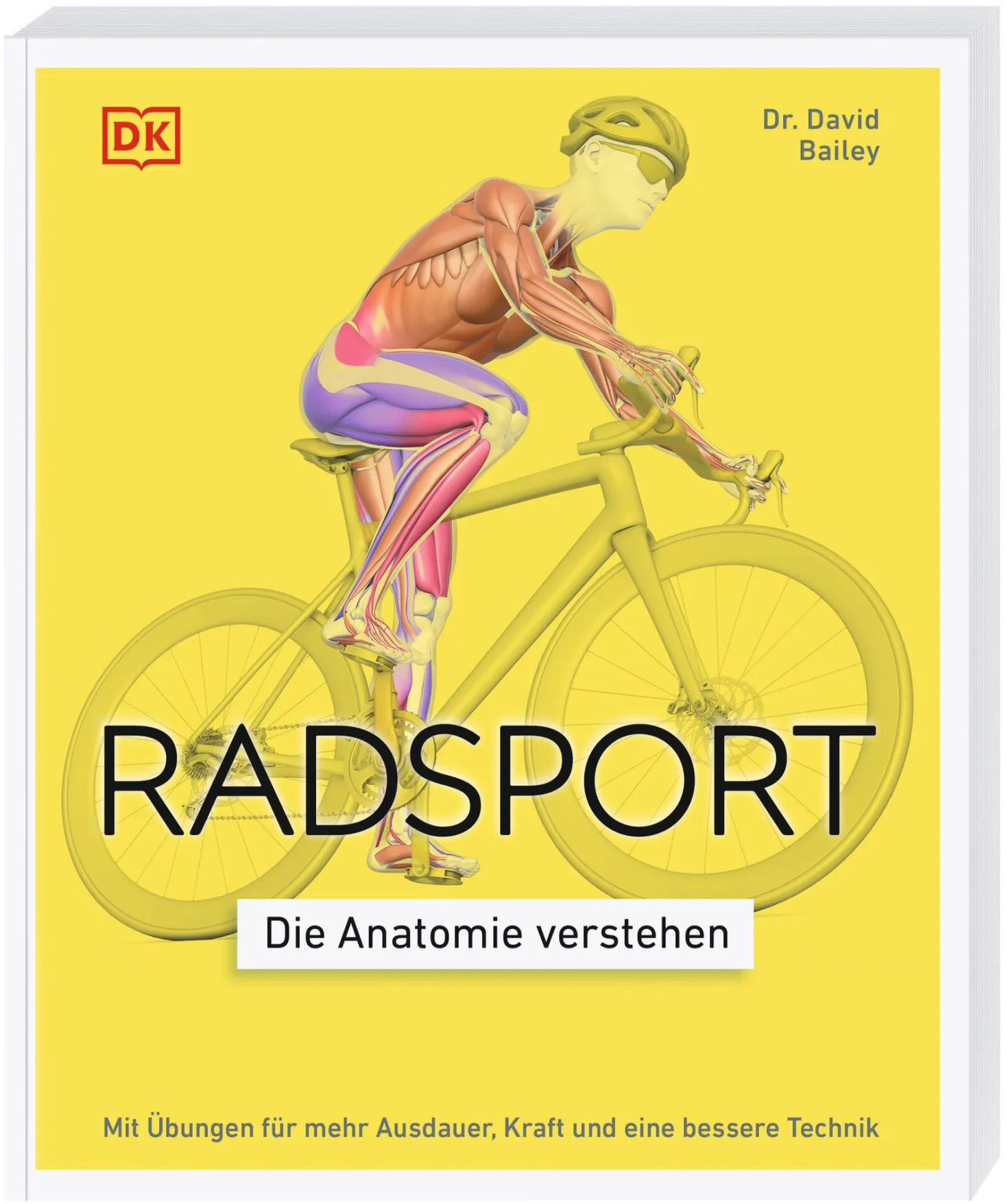 Radsport – die Anatomie verstehen