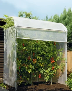 Rollo für Tomatenhaus Aluminiumrahmen