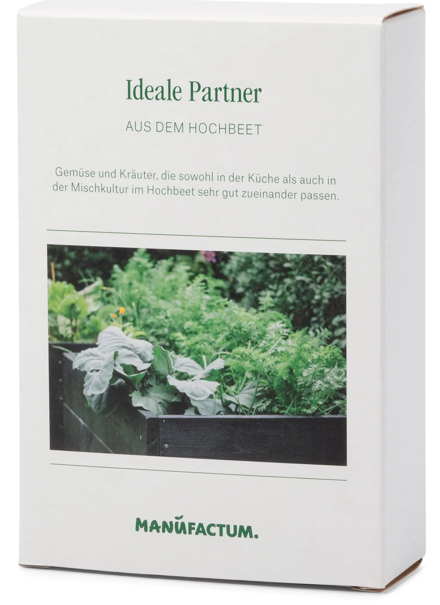 Saatgut Gemüse anbauen im Hochbeet – ideale Partner
