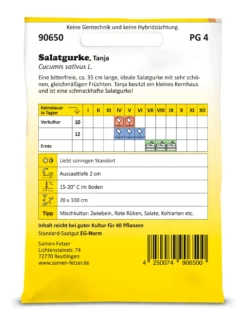 Saatgut Gemüse anbauen im Hochbeet – ideale Partner