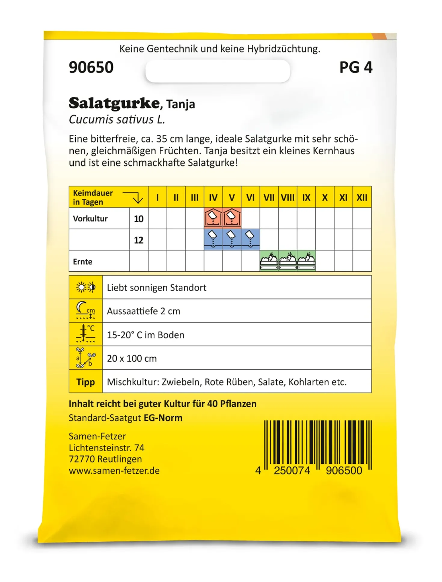 Saatgut Gemüse anbauen im Hochbeet – ideale Partner