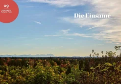 10.000 Schritte in München