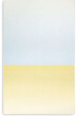 Schurwolldecke Gradient