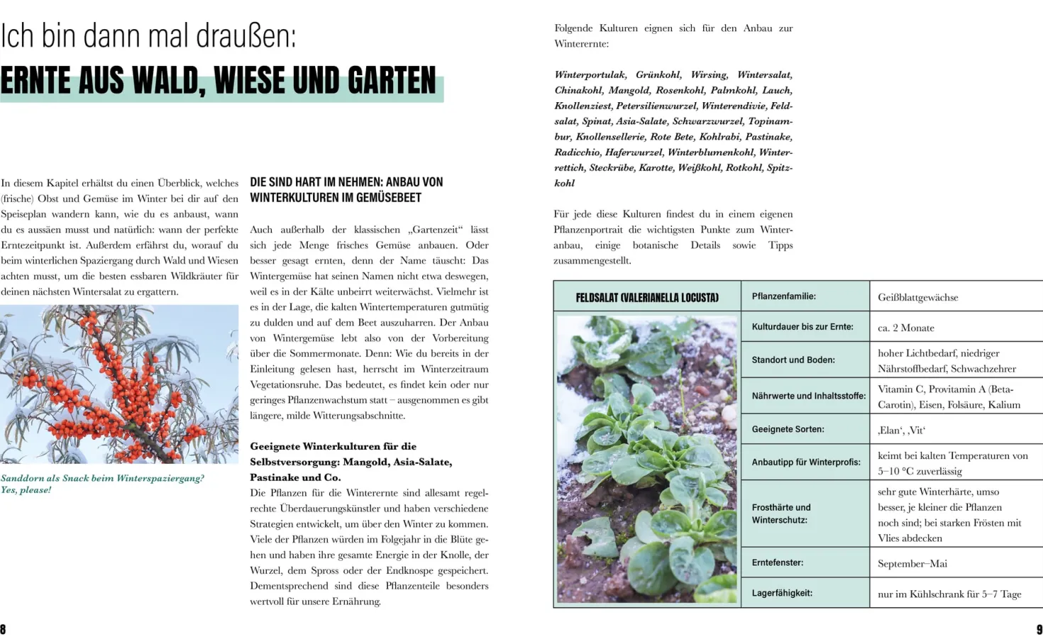 Selbstversorgung im Winter