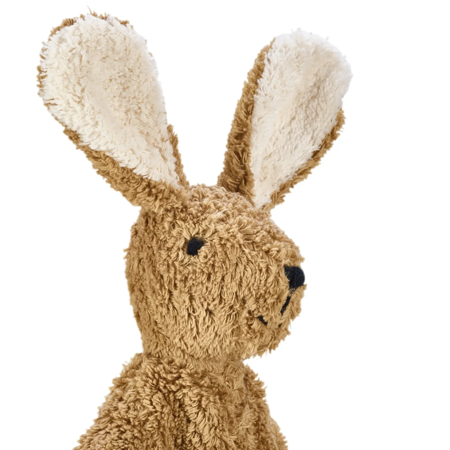 Senger Hase groß