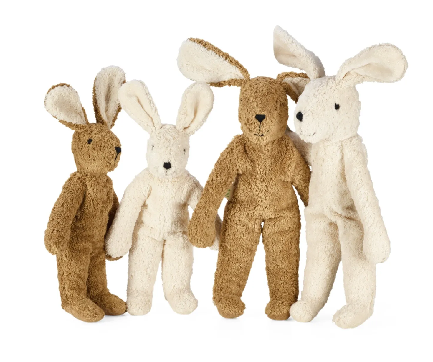 Senger Hase groß