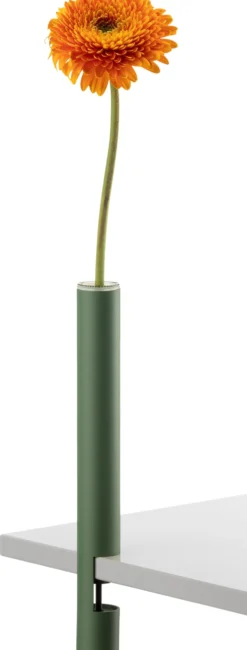 Vase CLEM