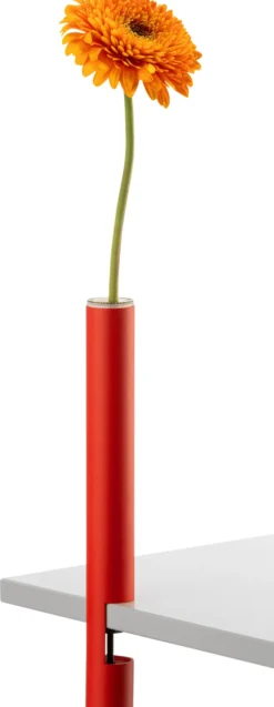 Vase CLEM