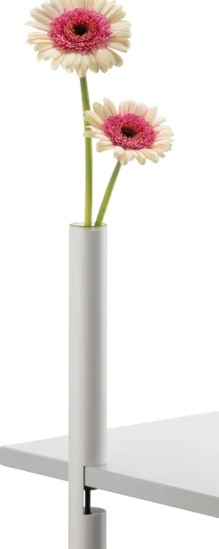 Vase CLEM