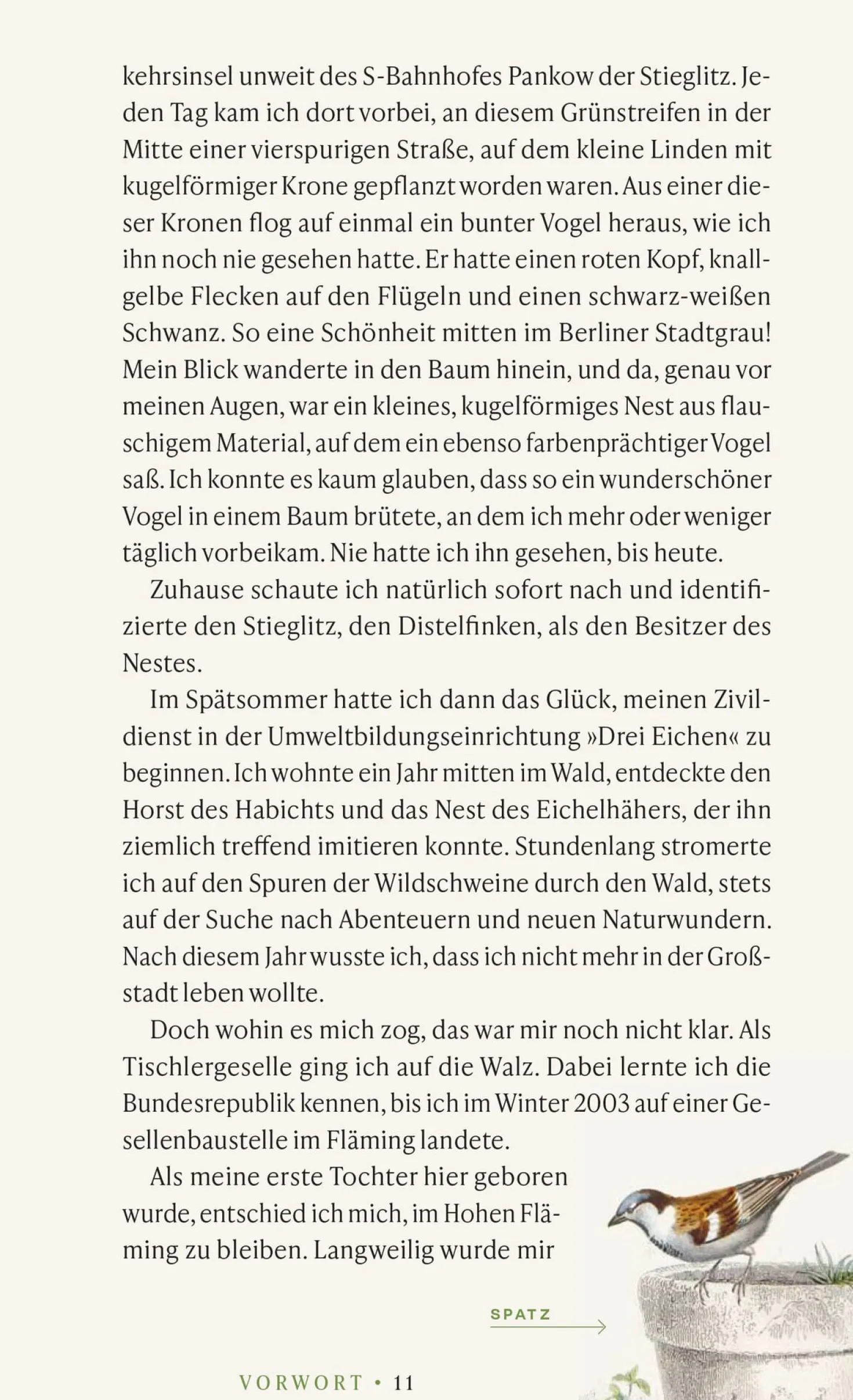 Vögel verstehen