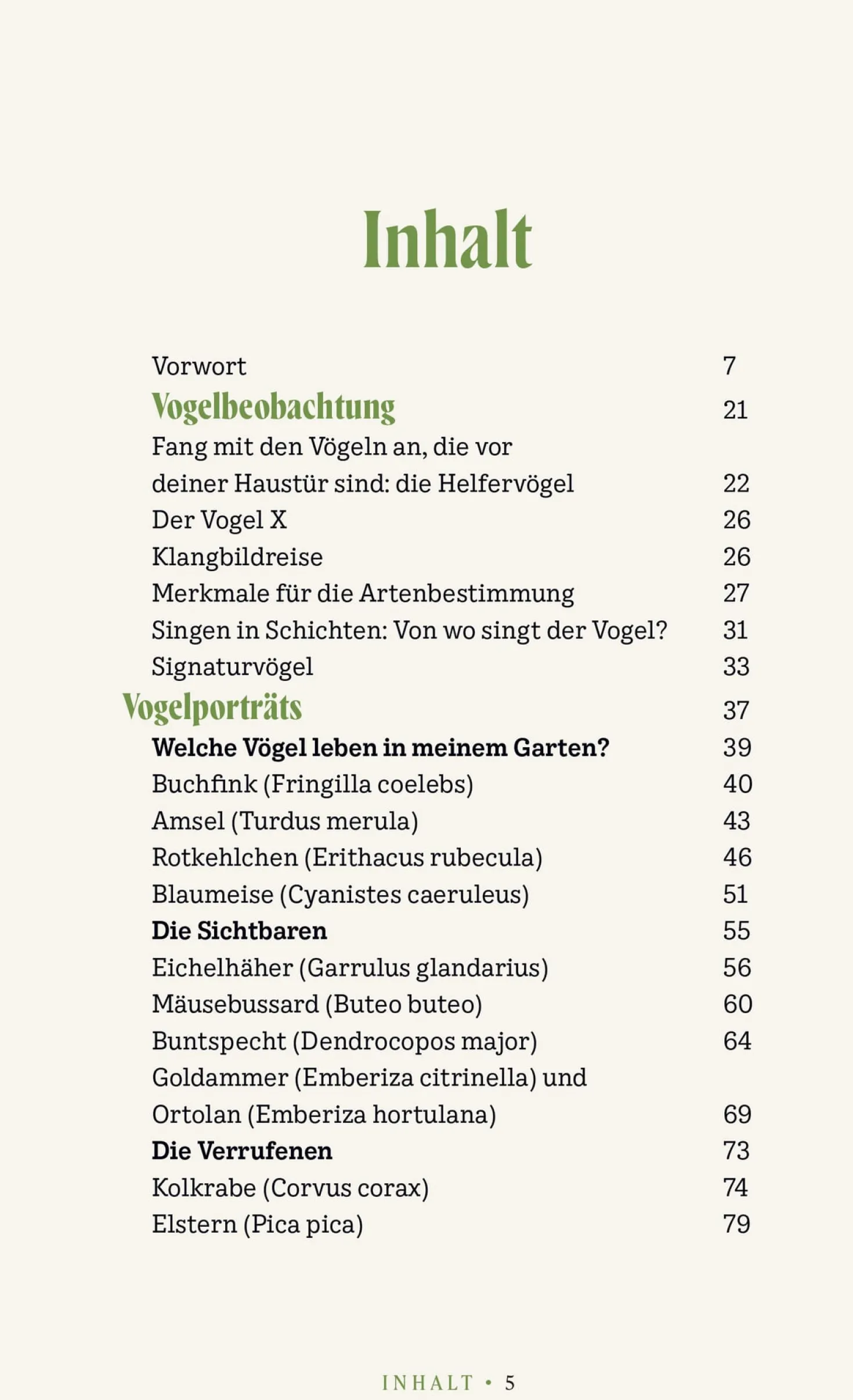 Vögel verstehen