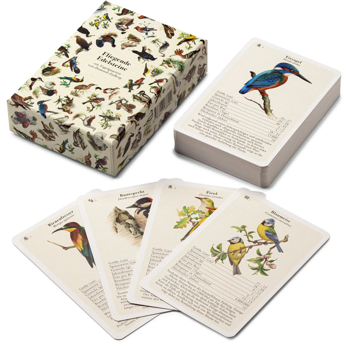 Vogelquartett mit Vogelstimmen