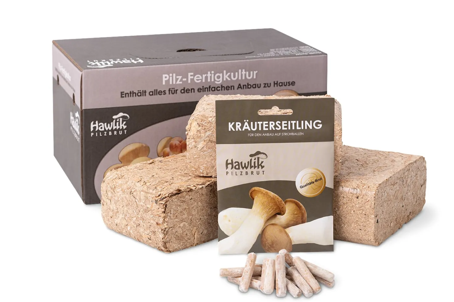 Waldpilzbrut 'Kräuterseitling'