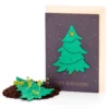 Weihnachtskarten mit Wildblumensamen