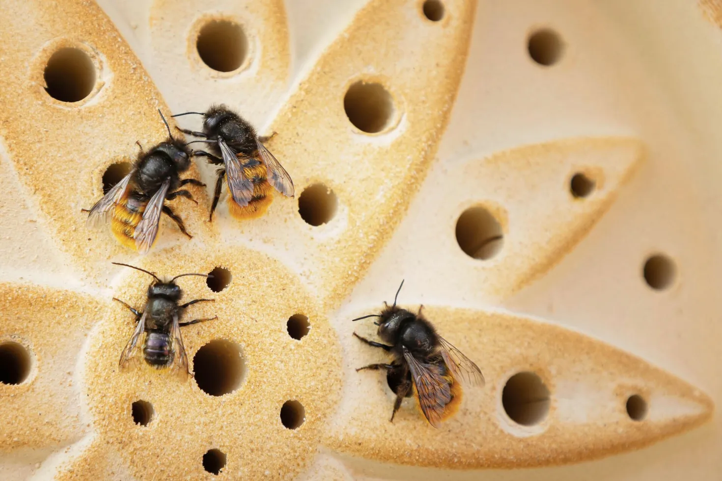 Wildbienenhaus Keramik