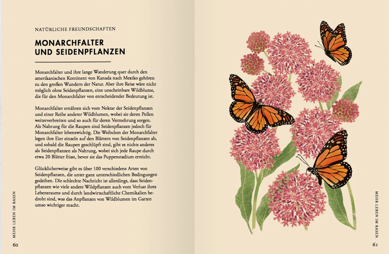 Wildblumen pflanzen - Nektarreiche Blüten für hübsche Nützlinge