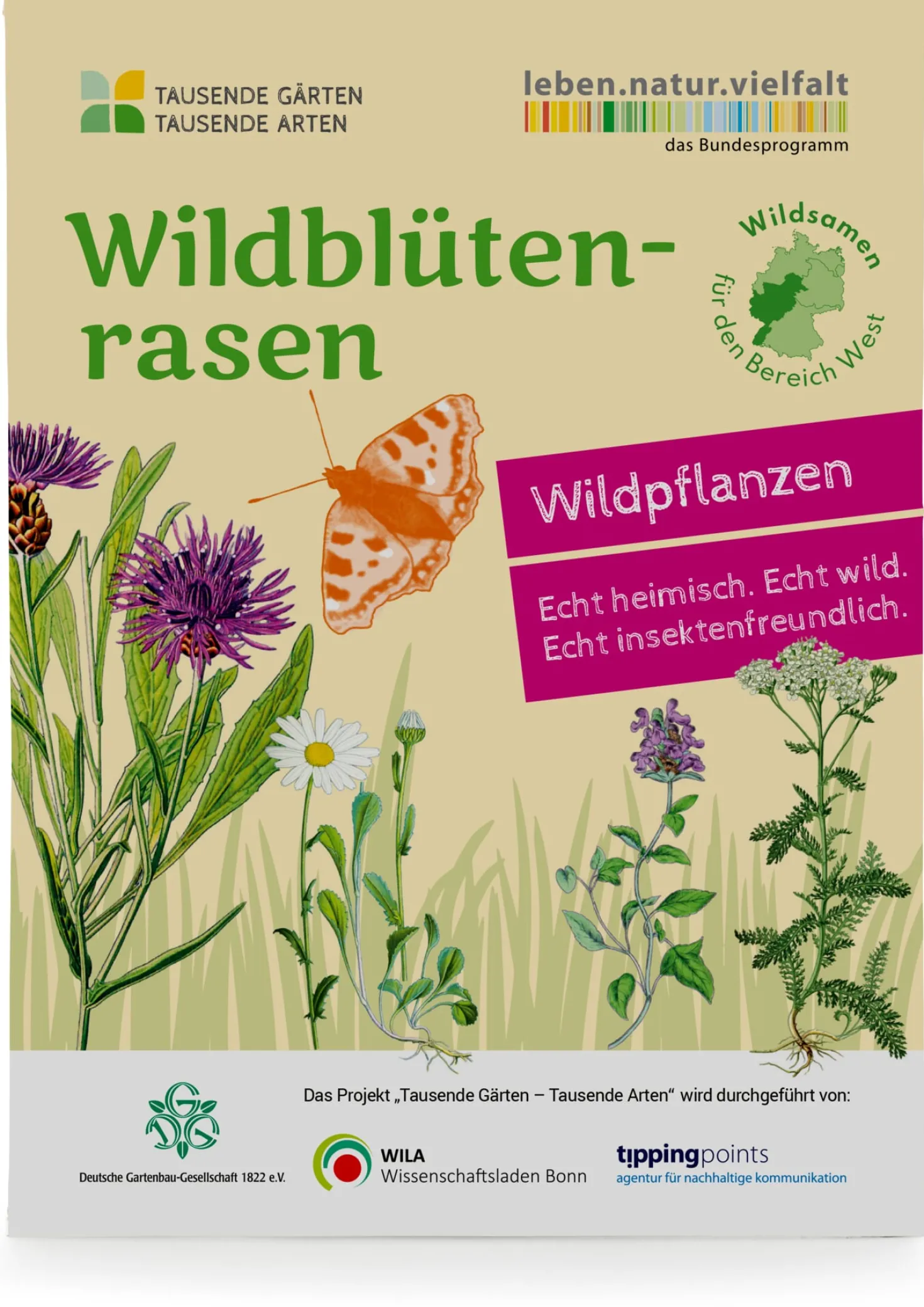 Wildblumenrasen gebietsheimisch