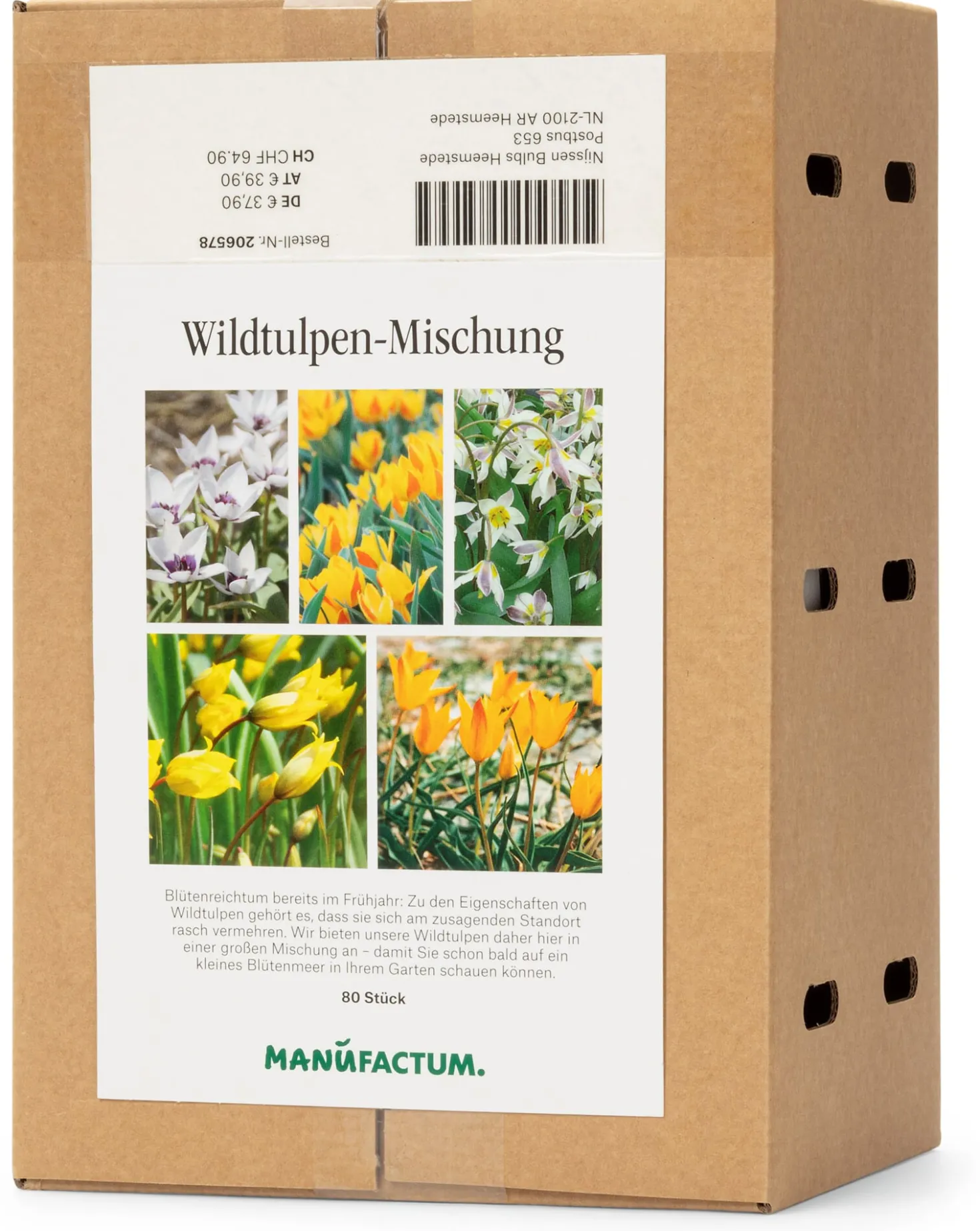 Wildtulpen-Mischung